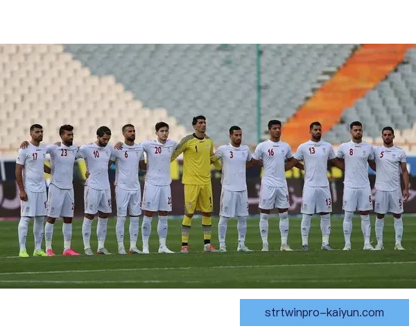 本坦库尔世界杯贡献持续提升，助力球队表现稳健，备受关注。